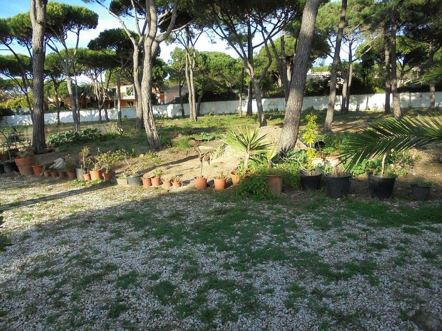 Terreno Quinta da Marinha/DSC00099