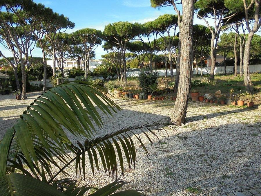 Terreno Quinta da Marinha/DSC00102