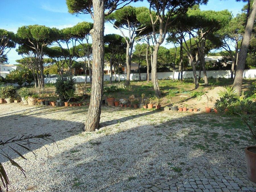 Terreno Quinta da Marinha/DSC00103