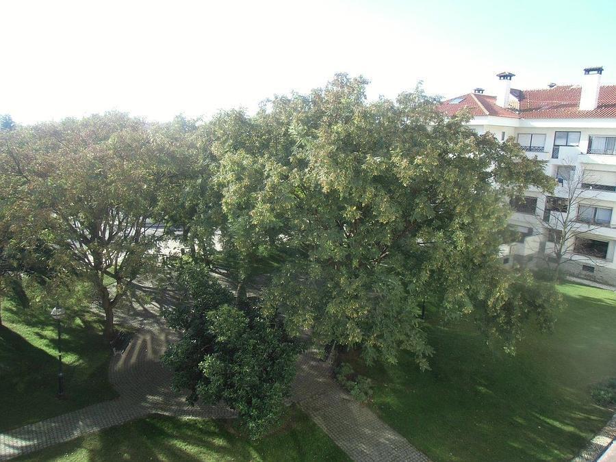 Apartamento T4 com vista, Lombos Sul, Cascais - Imagem 10