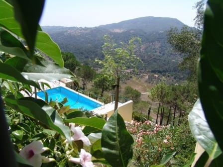 Maison normal T7+2 avec piscine