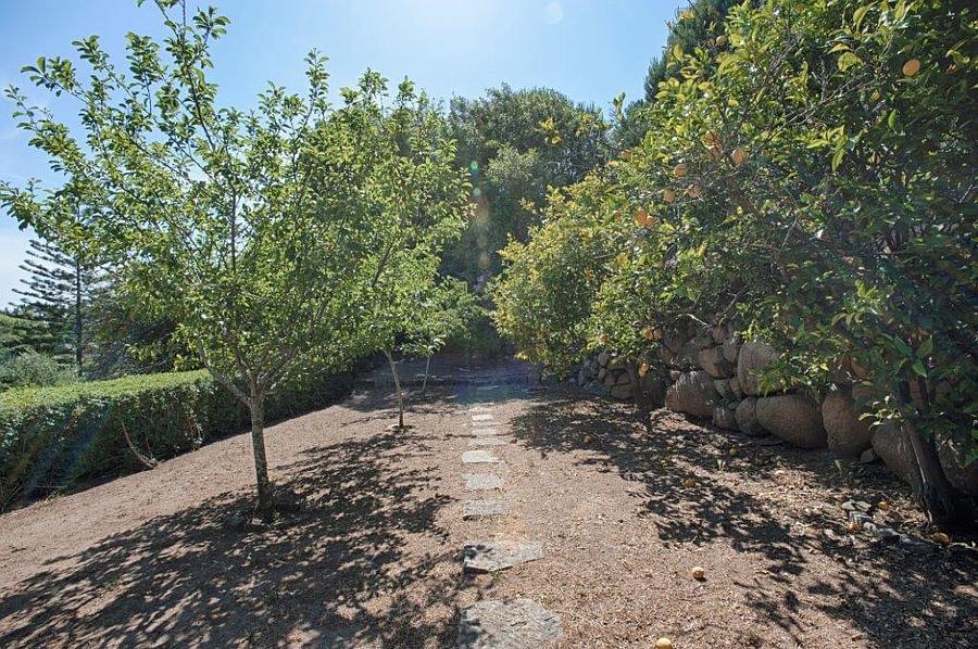 Maison normal T4+1 avec piscine