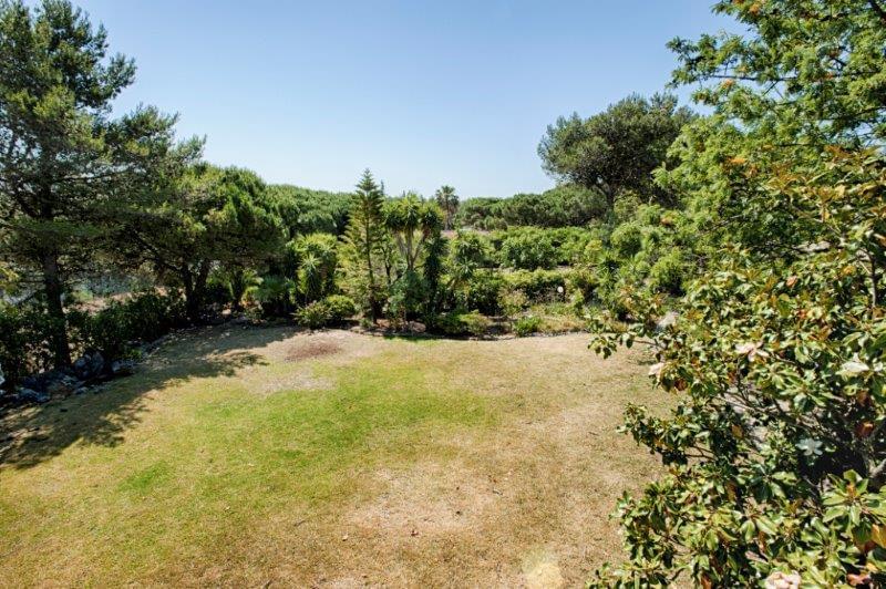 RuadeStaCruzn115Birre118