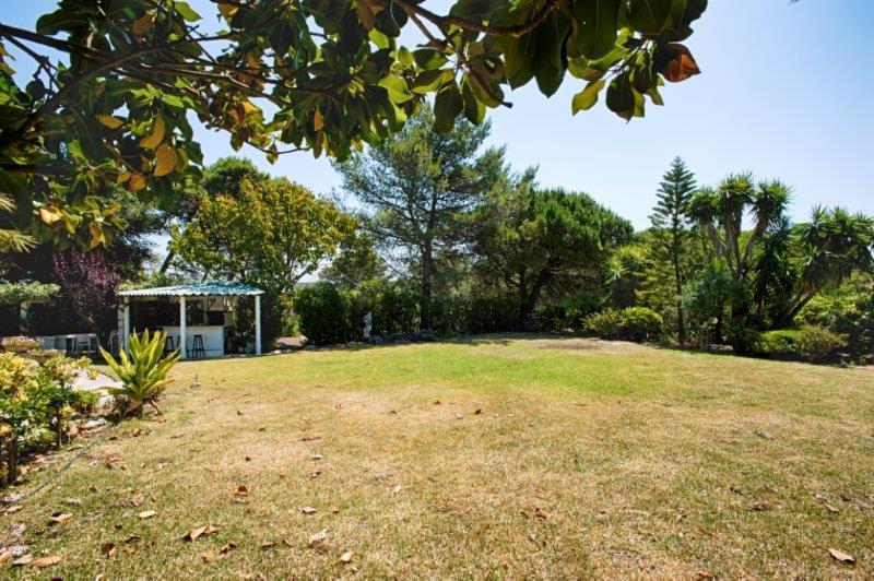 RuadeStaCruzn115Birre131