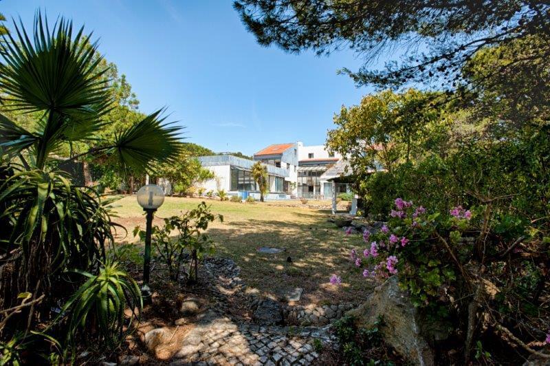 RuadeStaCruzn115Birre134