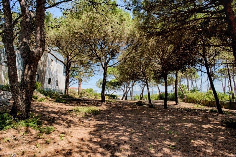 RuadeStaCruzn115Birre135