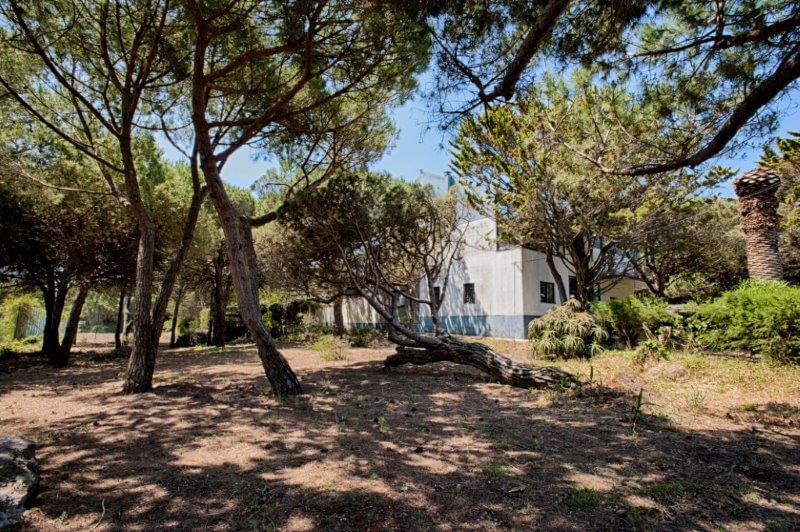 RuadeStaCruzn115Birre136