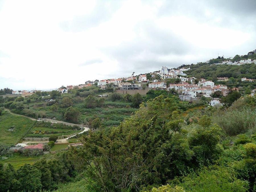 Maison normal T6 avec piscine