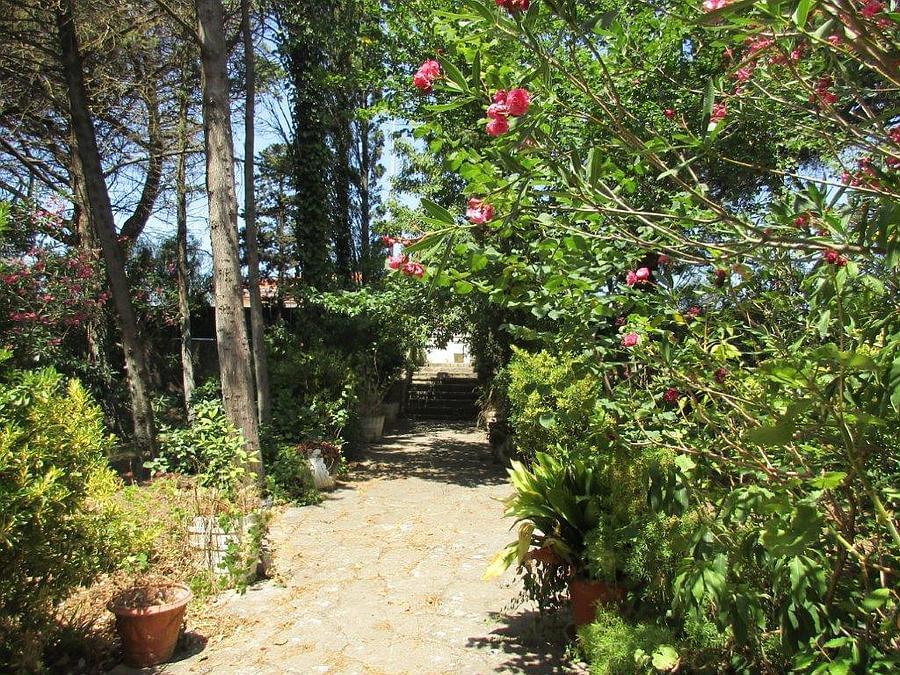 Maison normal T4+1 avec piscine