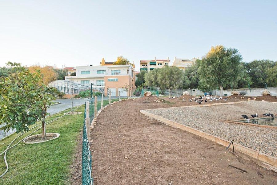 Maison normal T4+1 avec piscine