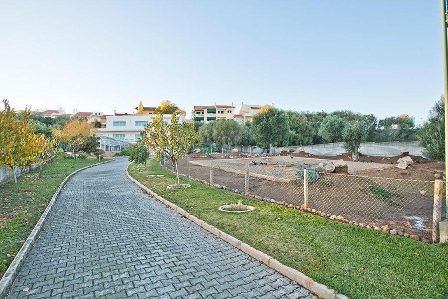 Maison normal T4+1 avec piscine