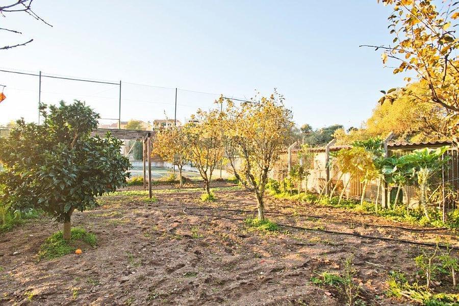 Maison normal T4+1 avec piscine