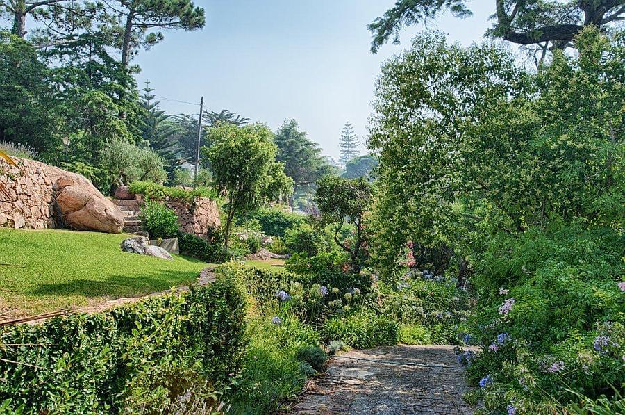 PF029 estradadamalveira casa3