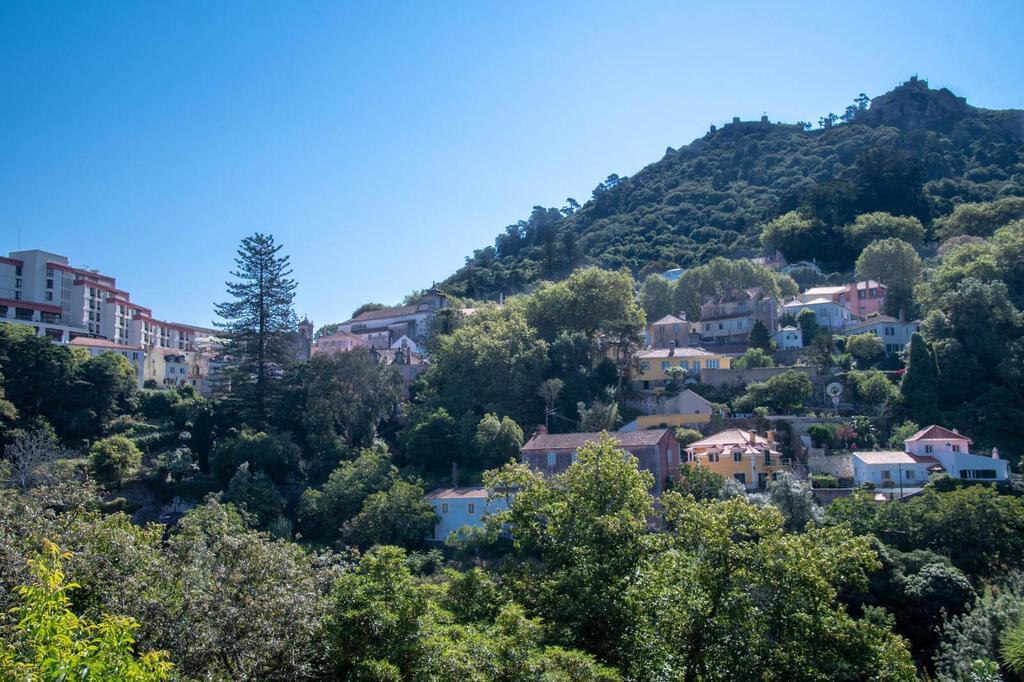 Farm with a swimming pool
