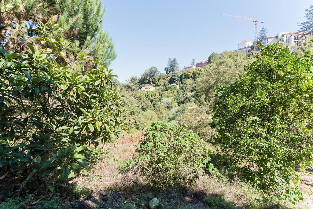 Farm with a swimming pool