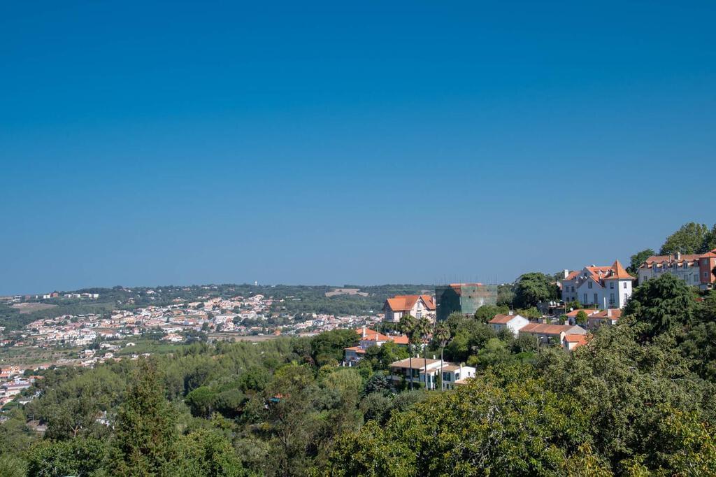 Farm with a swimming pool