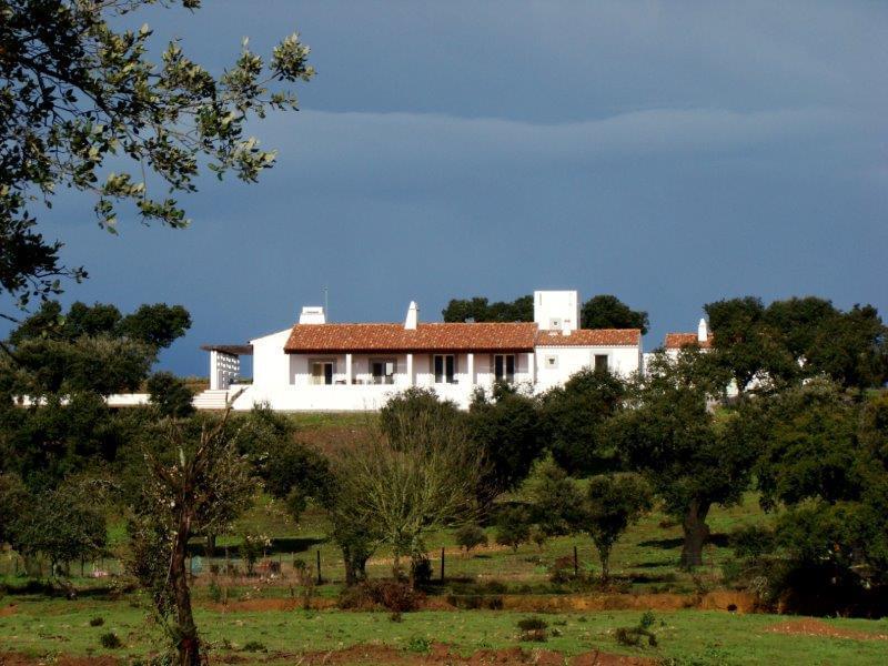 Homestead avec piscine