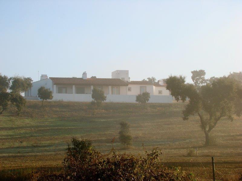Homestead avec piscine