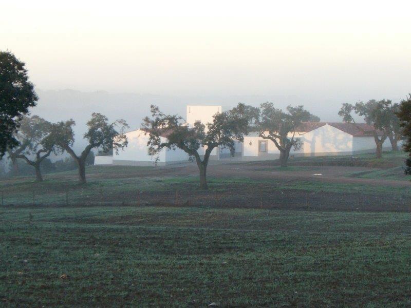 Homestead avec piscine