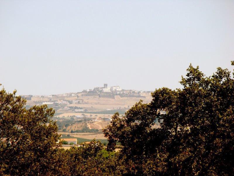 Homestead avec piscine