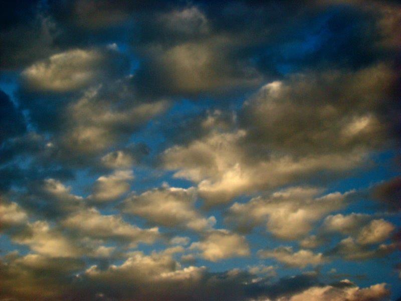 Homestead avec piscine