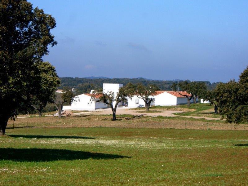 Homestead avec piscine