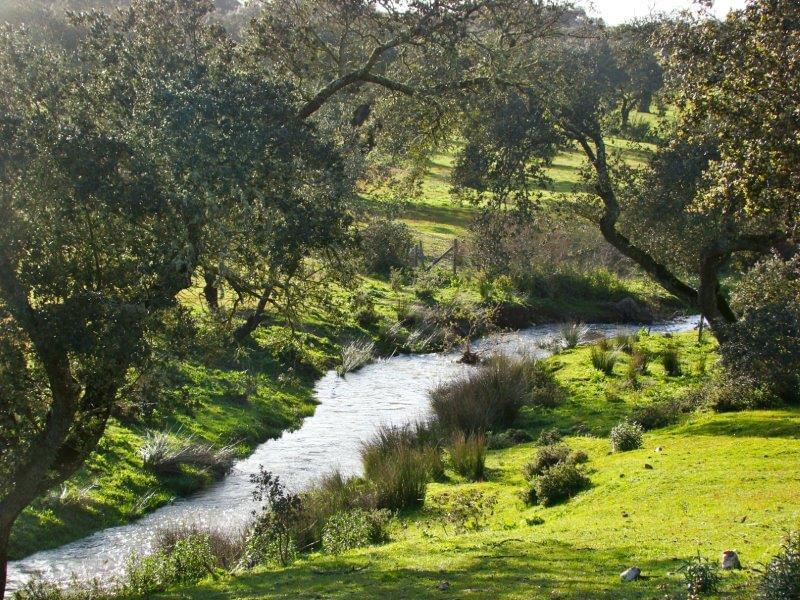 Homestead avec piscine
