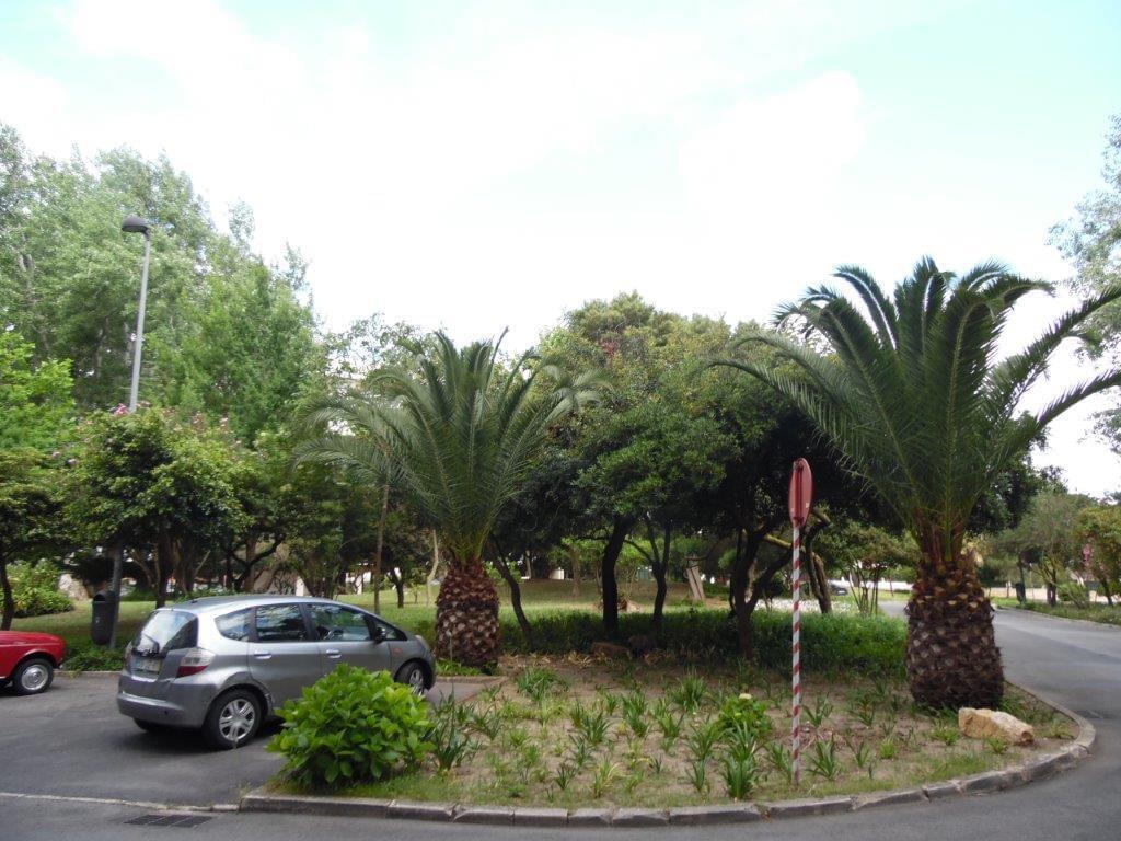 Apartamento T2 Outeiro de São Julião