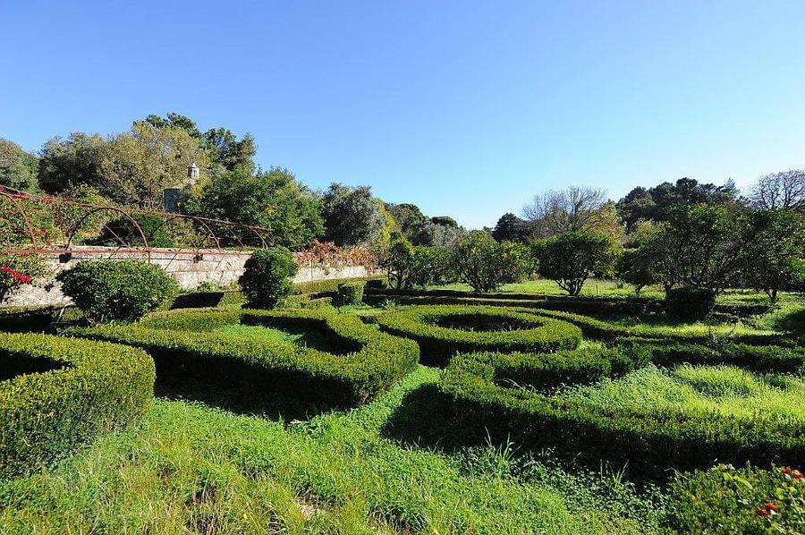 pf12764-quinta-t10-sintra-17