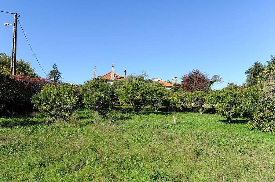 pf12764-quinta-t10-sintra-19