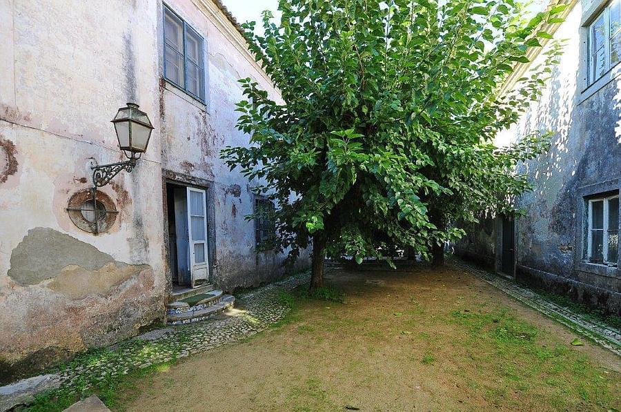 pf12764-quinta-t10-sintra-22