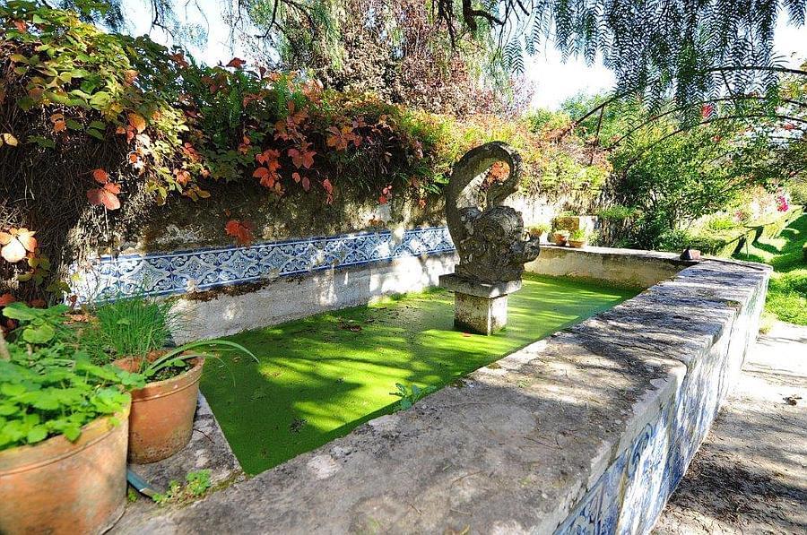 pf12764-quinta-t10-sintra-25