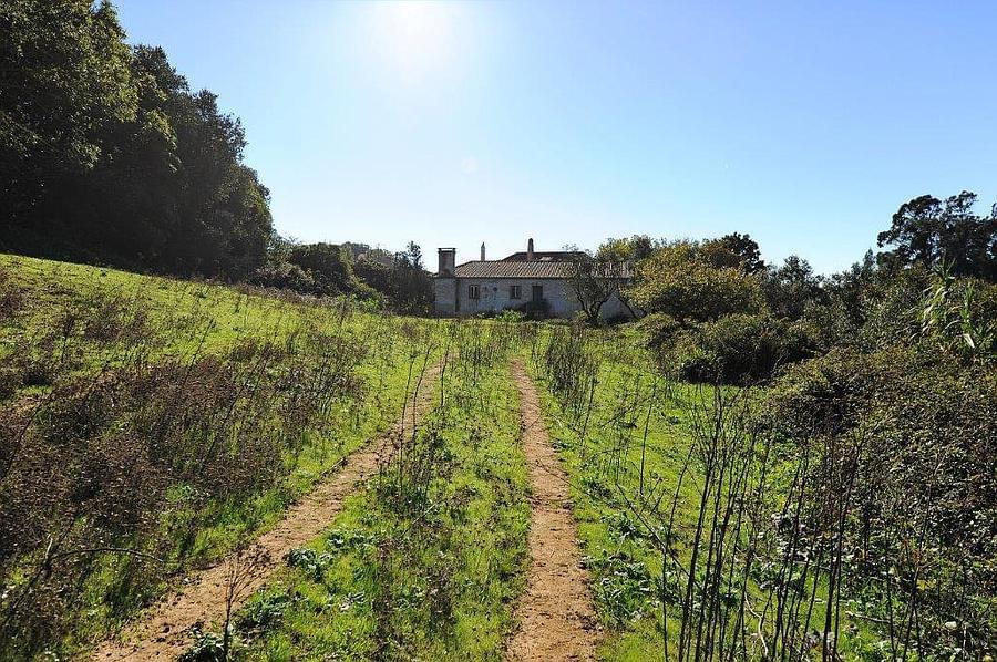 pf12764-quinta-t10-sintra-28