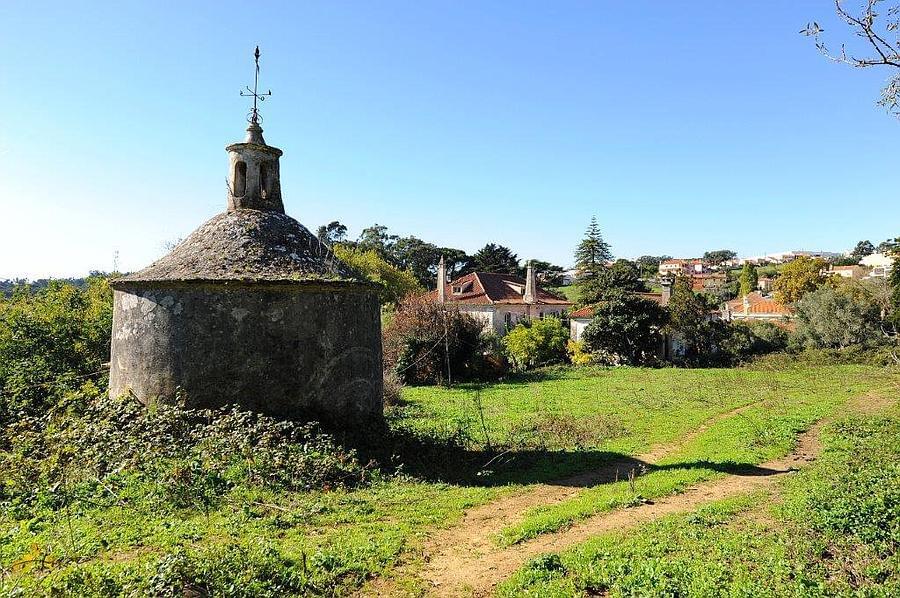 pf12764-quinta-t10-sintra-29