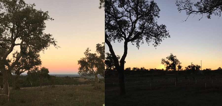 PF13307, Terrain, Grandola