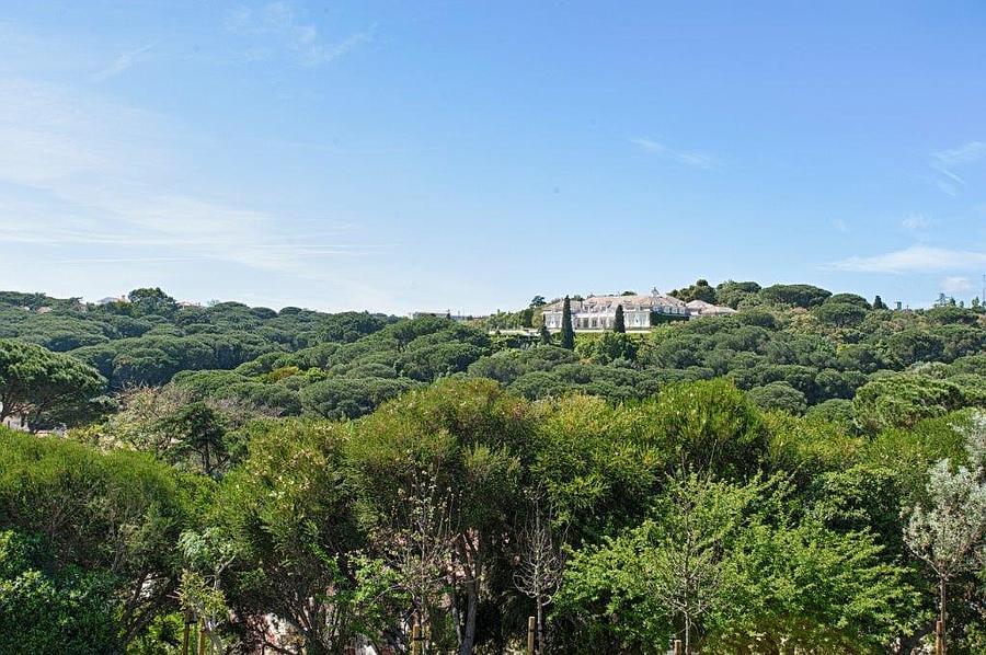 Moradia T6 + 5 com piscina, Quinta Patino, Cascais - Imagem 39
