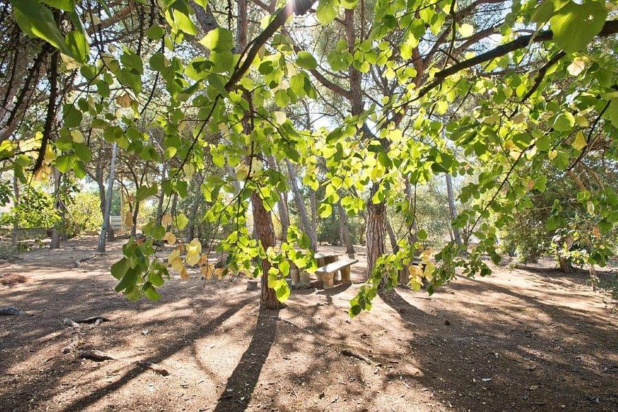 8 bedroom villa with a swimming pool