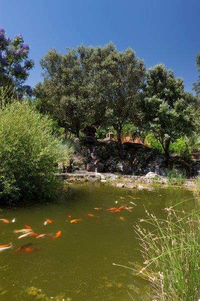 Homestead avec piscine