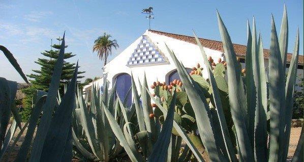 Homestead avec piscine