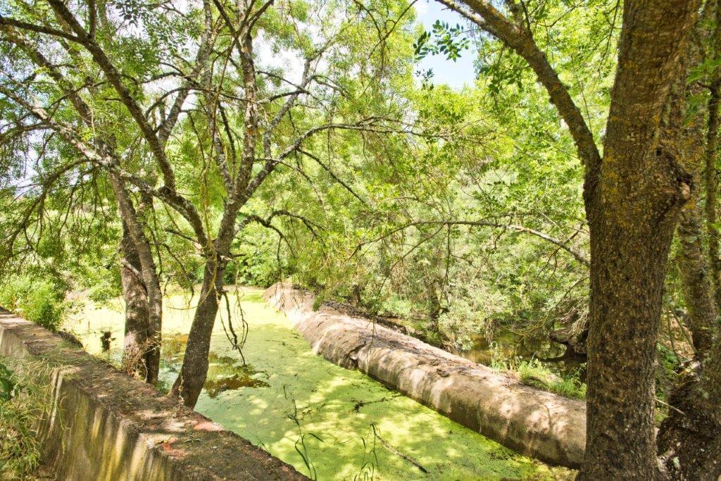 Homestead avec parking