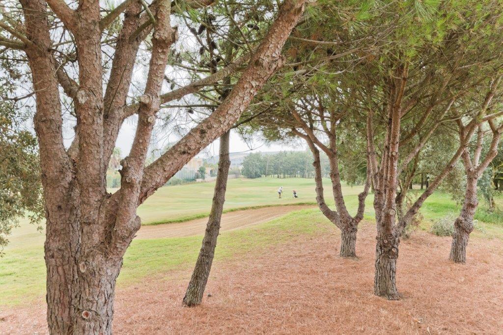 Maison normal T4+1 avec piscine dans un condominium fermé