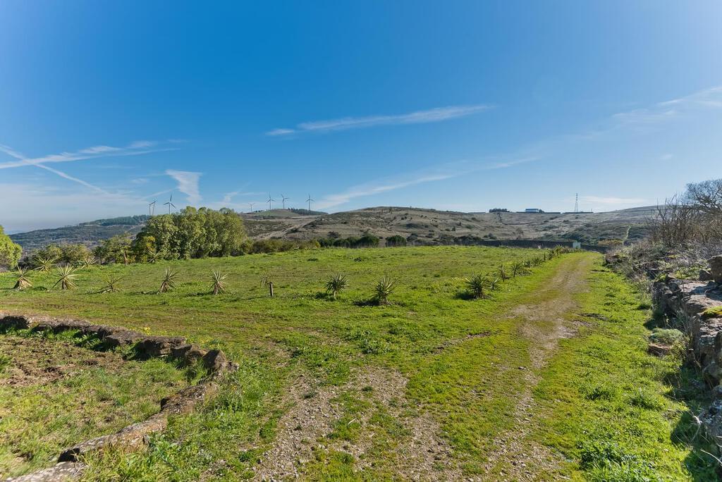 FERME avec maison de luxe et vignoble