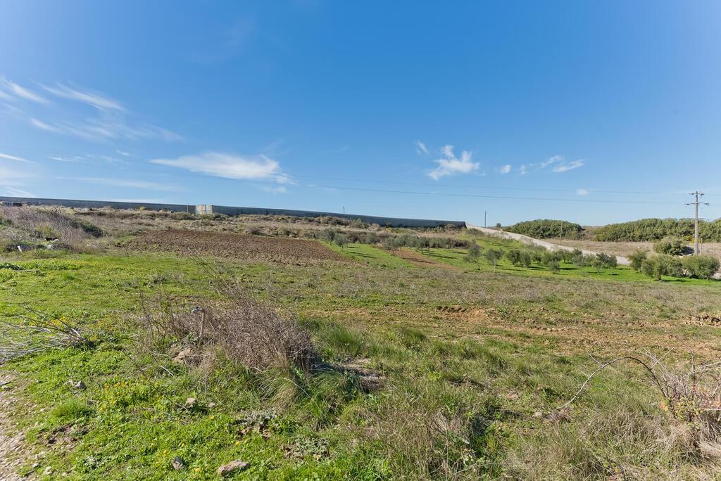 FERME avec maison de luxe et vignoble