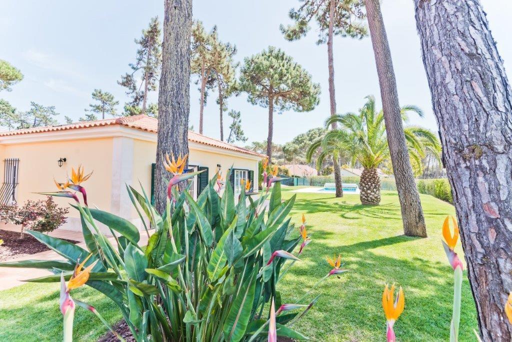 Maison normal T4 avec piscine