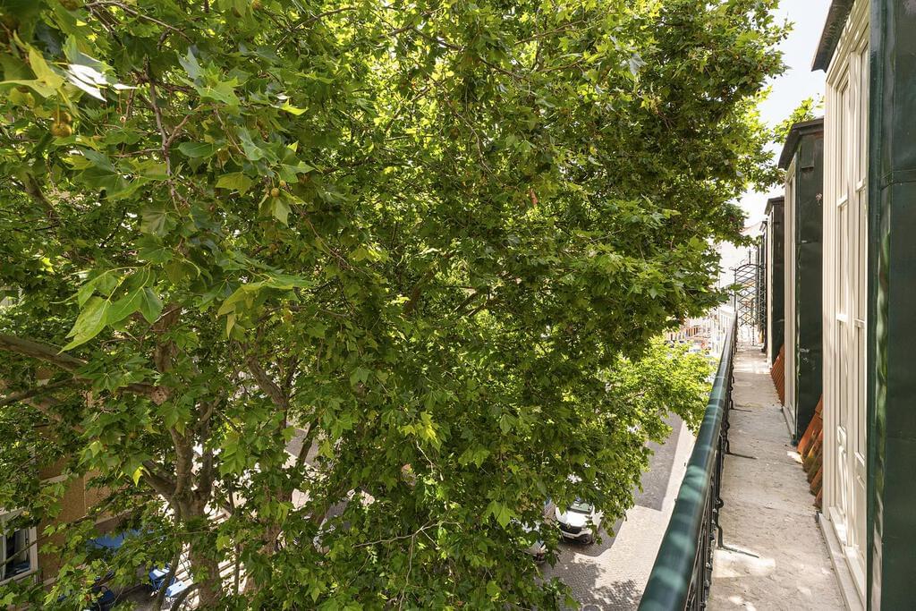 Apartamento T2 remodelado