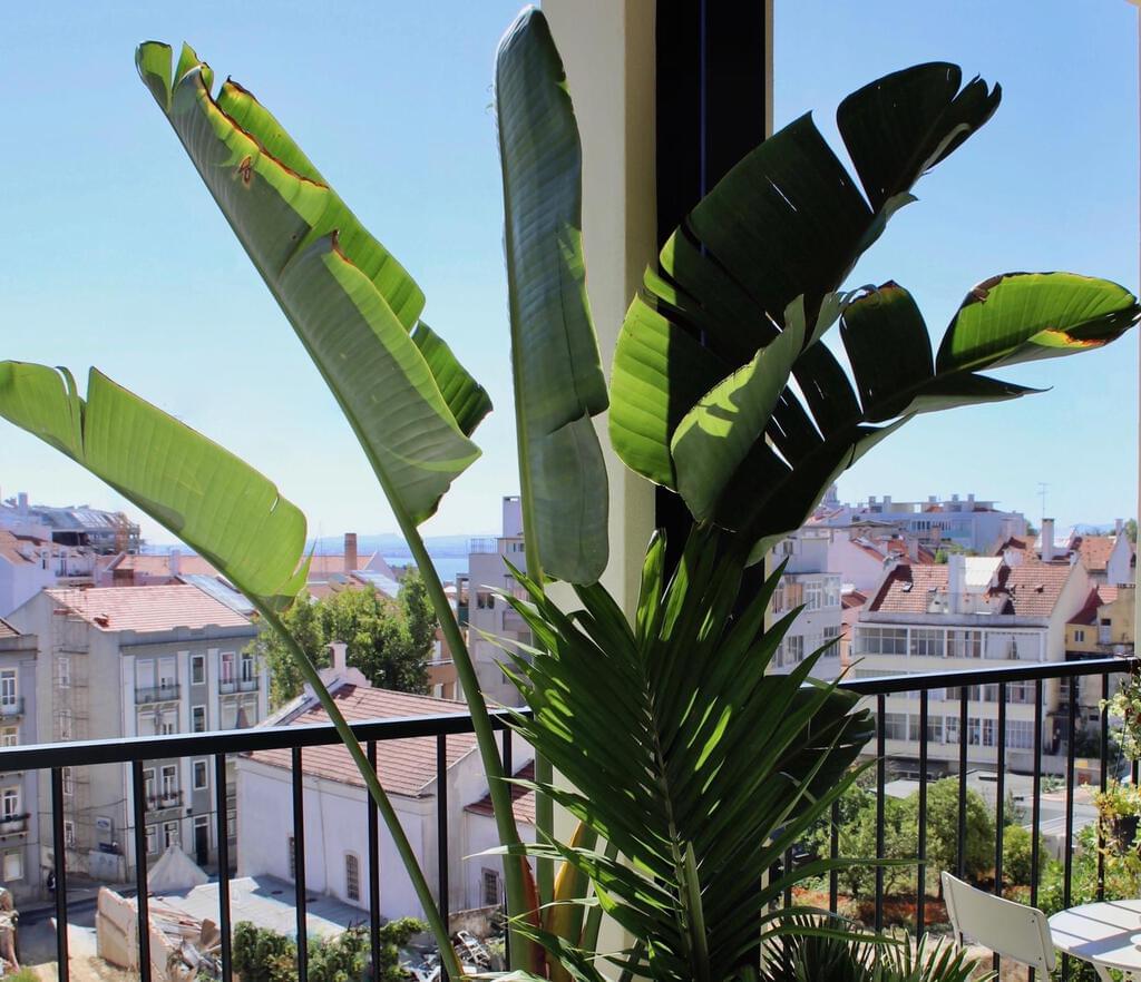 Apartamento T2 remodelado