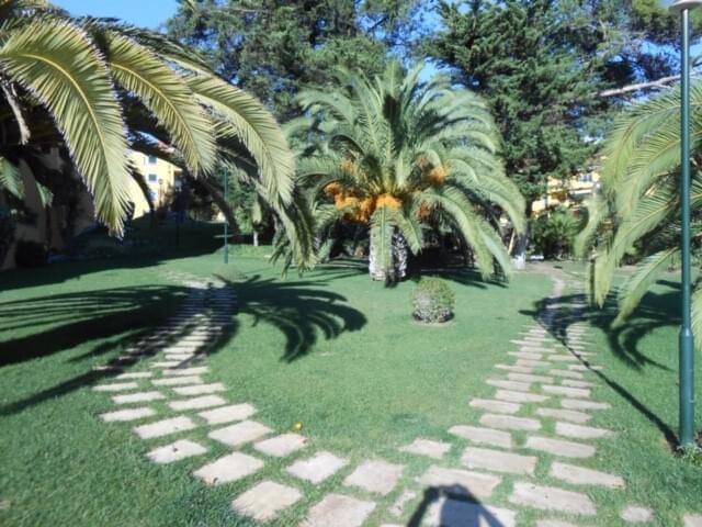 3 bedroom apartment with a swimming pool