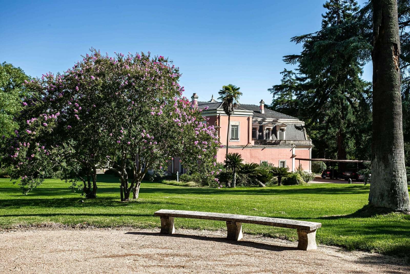 Palacete, Elvas - Imagem 29
