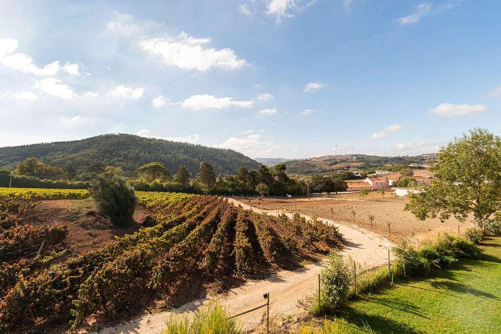 PF23476, Herdade, Torres Vedras