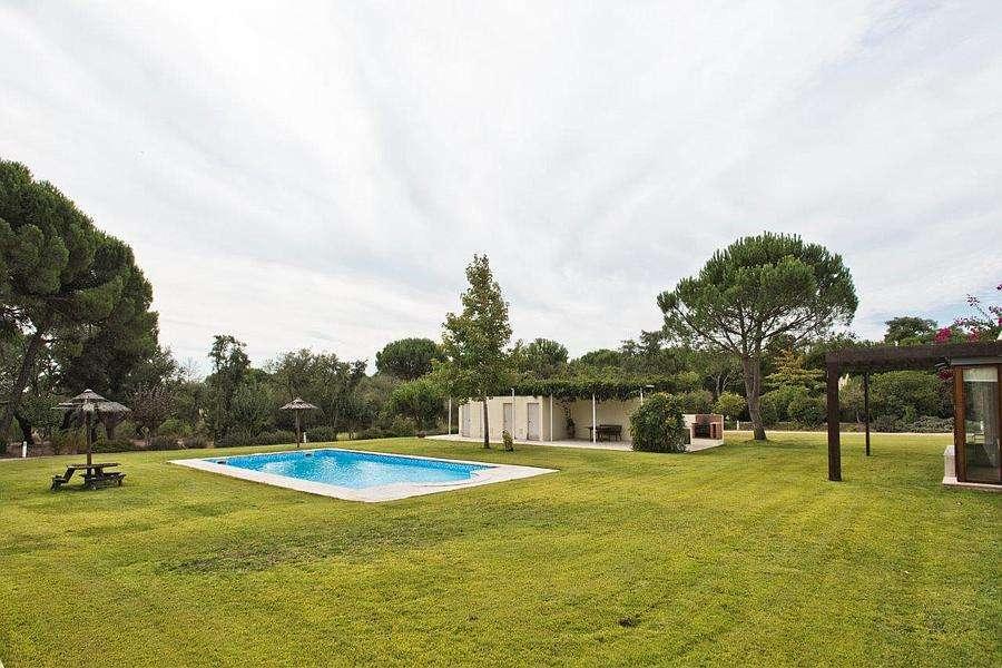 PF23953, Quinta T5, Benavente